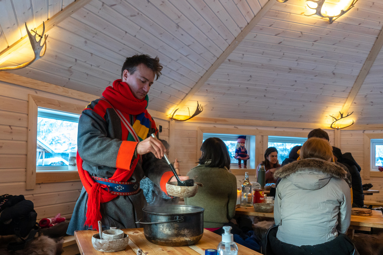 Alimentación de renos y experiencia sami con almuerzoAlimentación de renos y experiencia sami