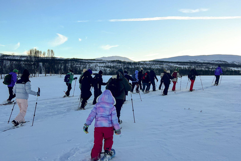 Tromsø: Snowshoeing with Reindeer