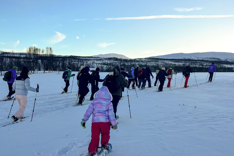 Tromsø: Snowshoeing with Reindeer