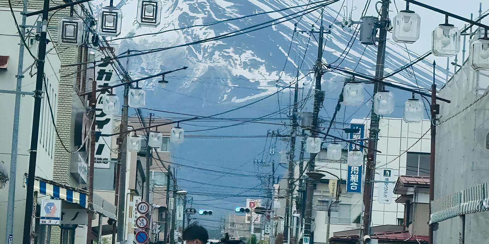 Tokyo: Mt. Fuji & Hakone Private Custom Tour English Driver