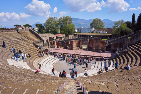 Pompeii: Private All-Inclusive Tour from Naples