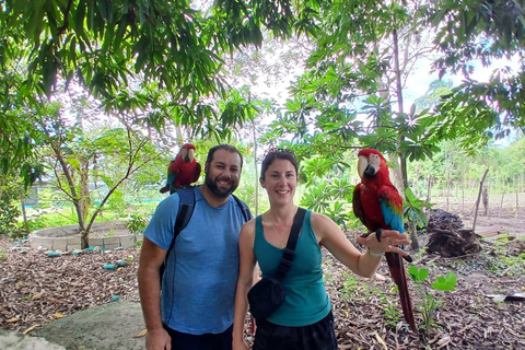 Puerto Plata: Countryside tour with Monkey Home, butterflies, and coffee