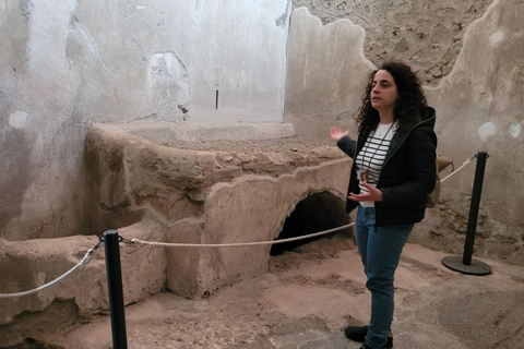 Pompeii: Complete 2.5-Hour Tour with an Official Guide and a Souvenir Photo.