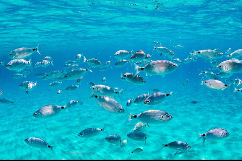 Ibiza: giro dell&#039;isola di Ibiza e bagno a Formentera