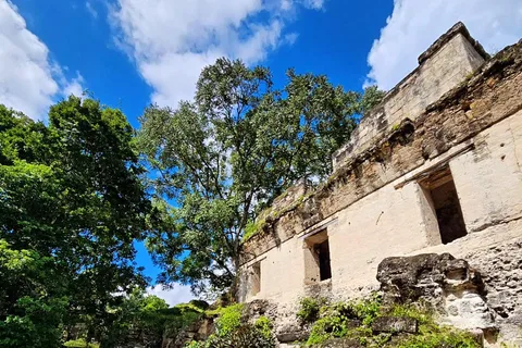 Da Flores: Esclusivo tour di gruppo di Tikal
