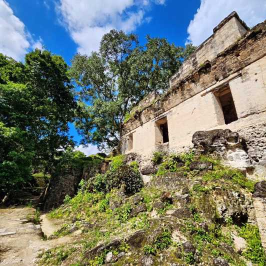From Flores: Exclusive Tikal Group Tour