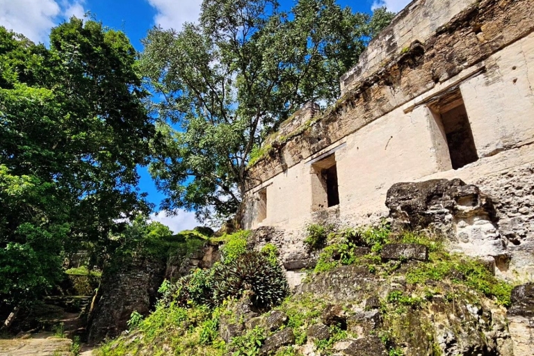 From Flores: Exclusive Tikal Group Tour Tikal Group