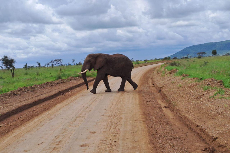 Arusha : safari de 3 jours à Tarangire, Ngorongoro et ManyaraArusha : Safari de 3 jours à Tarangire, Ngorongoro et Manyara