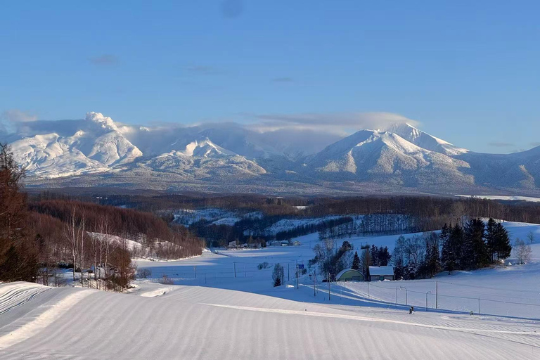 Sapporo: Furano, Biei & Ningle Terrace Winter Light Tour