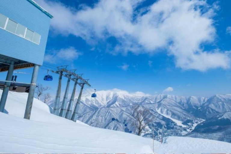 From Tokyo: Naeba Ski Resort Day Trip with Lift Pass Ski or Snowboard Gear Rental Option
