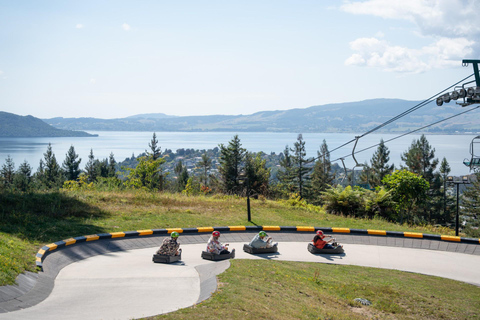 From Auckland: Rotorua Day Trip with Te Puia & Luge Rides