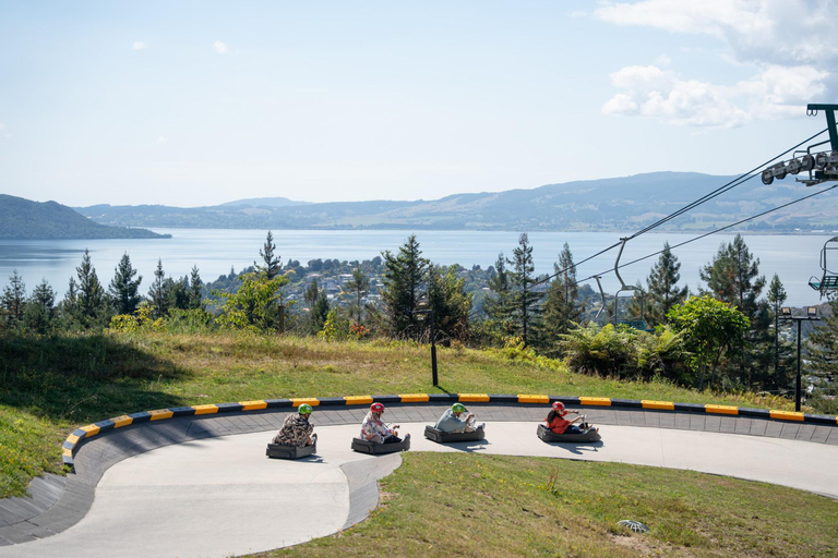 From Auckland: Rotorua Day Trip with Te Puia & Luge Rides