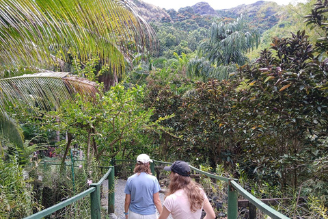 FIJI: Garden of the Sleeping Giant Tour InterContinental/Yatule/Yadua Bay/Shangri-La Pickup