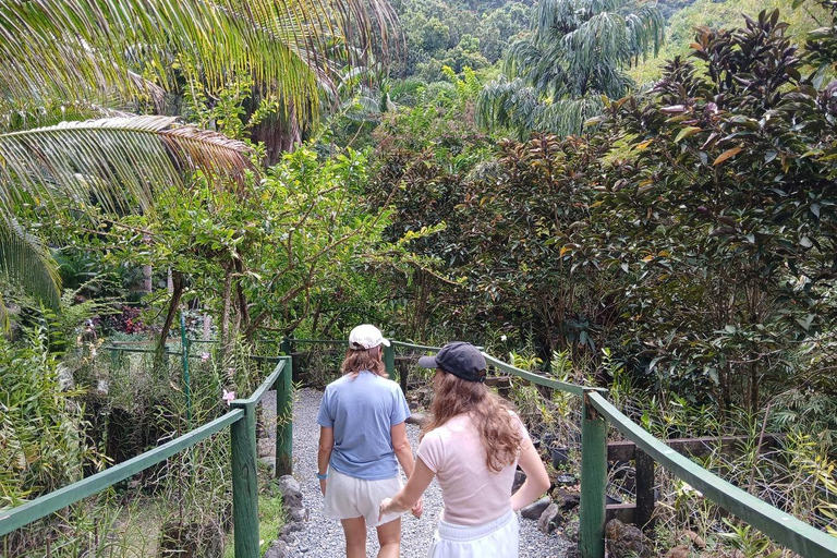 FIJI: Garden of the Sleeping Giant Tour InterContinental/Yatule/Yadua Bay/Shangri-La Pickup