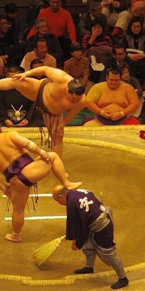 Nagoya, Sumo Tournament Tour(A-Class Seat Tickets included) - Housity