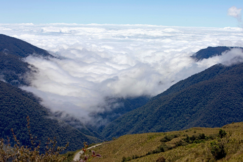 From Cusco: 3-Day Manu Amazon Jungle Expedition & Photos