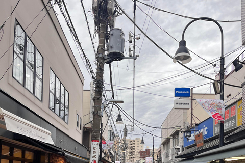 Tokyo: Calm and Cultural Stroll Through Historic Areas