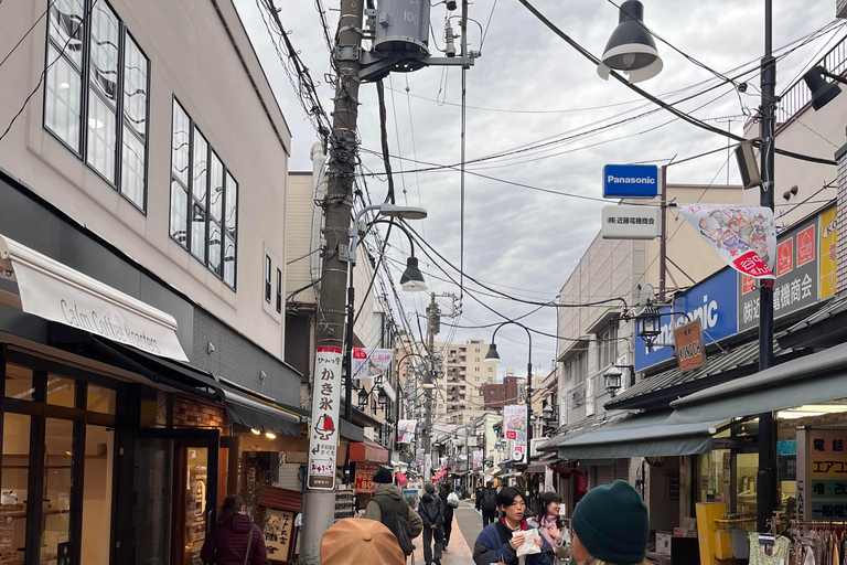 Tokyo: Calm and Cultural Stroll Through Historic Areas
