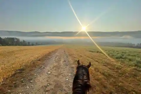 Romantic horseback riding at sunset : La Crépuscule