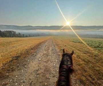 Romantic horseback riding at sunset : La Crépuscule