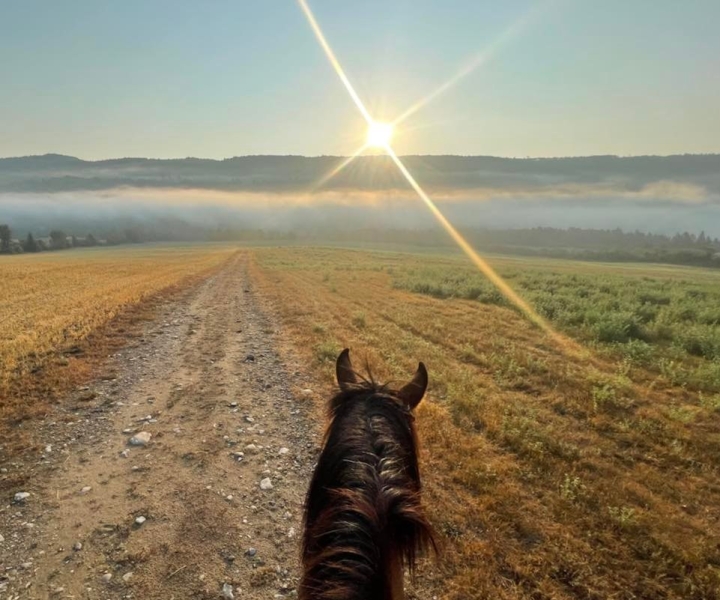 Promenade romantique à cheval au coucher du soleil : La Crépuscule