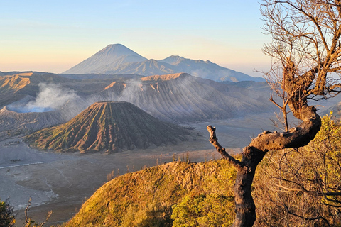 Yogyakarta: 4 Days, 3 Nights to Bromo, Ijen Crater, More