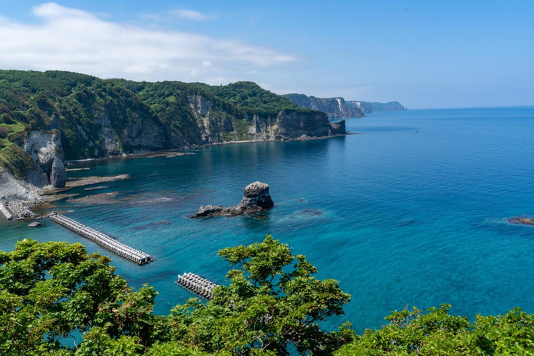 Otaru, Shakotan & Yoichi Distillery Day Tour (Ch/En Guide)