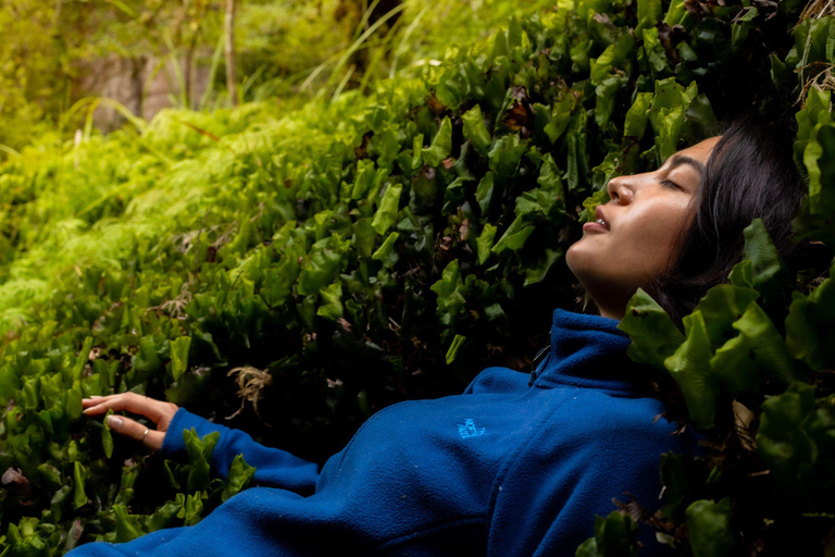 Rotorua: Whirinaki Forest Guided Tour & Luxury Spa Entry