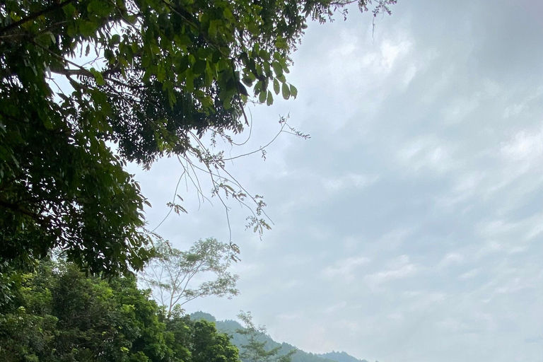 Selogriyo Temple with rice terrace trekking