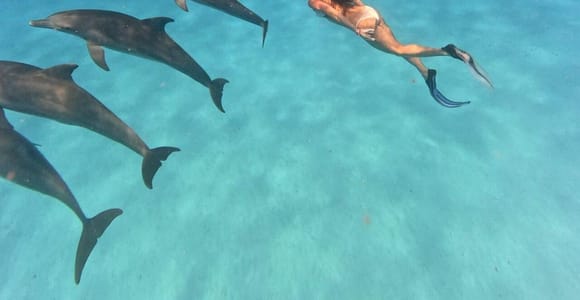 Zanzibar: Mnemba Island Dolphin Swim & Snorkeling Adventure