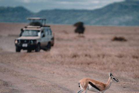 From Arusha: 7-Day Northern Tanzania Safari