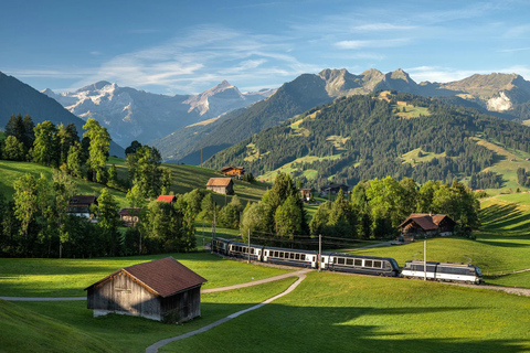 Zurich: Hardcore Swiss Train Tour–4 Scenic Railways in 1 day Excluding Train Tickets