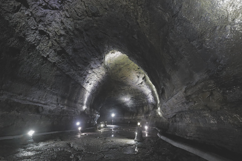 Jeju East: Cherry Blossom Tour & Women Divers Show