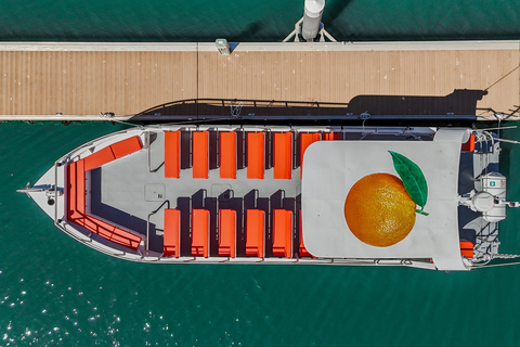 DOLPHIN WATCHING & BENAGIL CAVE TOUR FROM LAGOS - DUAL TRIP