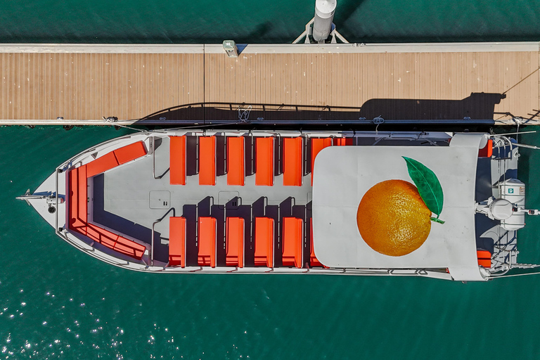 DELFINSKÅDNING &amp; BENAGIL-GROTTAN FRÅN LAGOS – DUBBELTURDOLPHIN WATCHING &amp; BENAGIL CAVE TOUR FRÅN LAGOS - DUBBELUTFLYKT