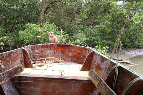 From Bangkok: Mangrove Forest and Bat Cave Private Day Tour