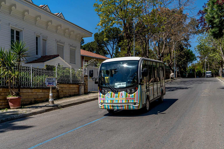 Istanbul: Princes' Islands Cruise with Lunch & Transfer Istanbul: Princes' Islands Cruise with Transfer