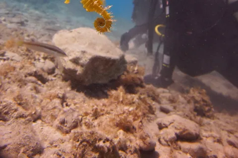 Split-Makarska-Brela Prueba el submarinismo