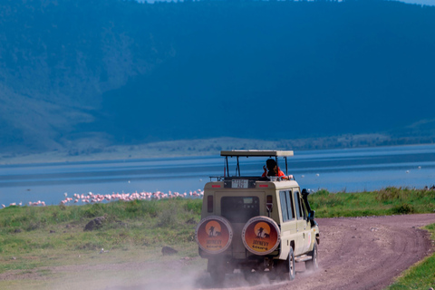 Ngorongoro Crater: Full-Day Safari Tour