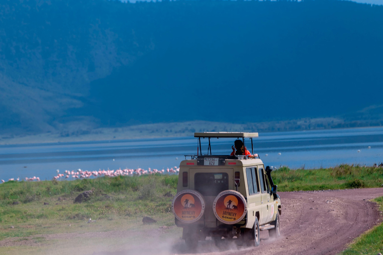 Ngorongoro Crater: Full-Day Safari Tour