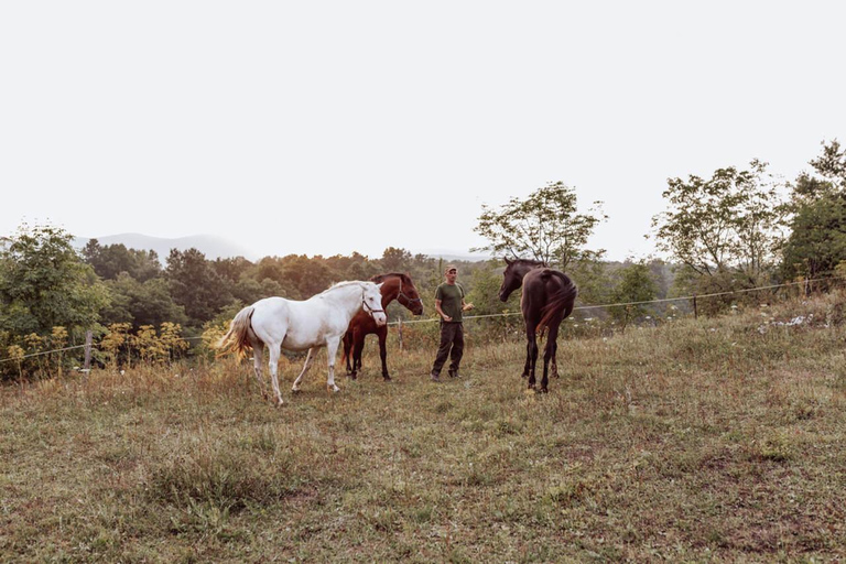 From Split: Magical Plitvice Lakes and Hidden Deer Ranch