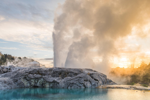 Auckland: Excursión de medio día al Valle Geotérmico de Rotorua