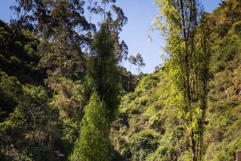 Quito: Otavalo Market, San Pablo Lake, & Waterfall