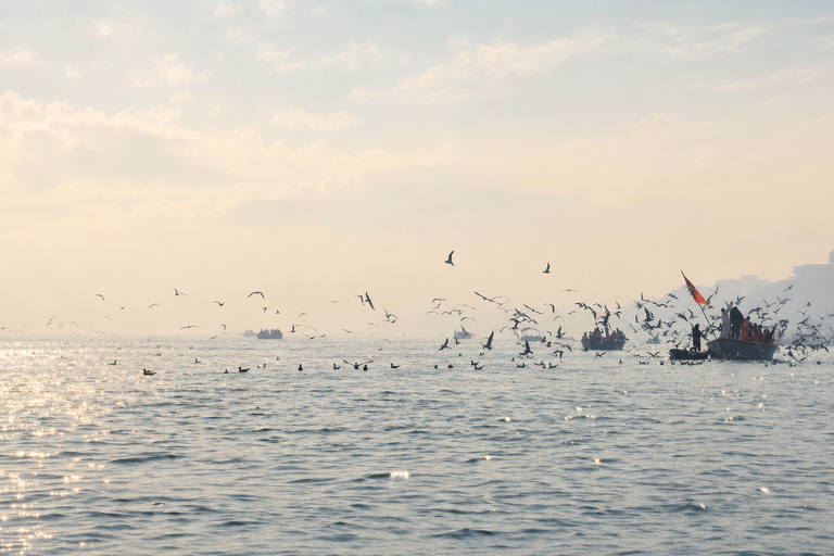 Varanasi: Personalized Walking Tour with Local Guide