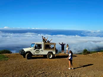 Madeira: Visit the Volcanic Pools, Waterfalls, and Magical Forest of Fanal