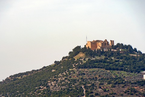 Aqaba: Jerash, Ajloun slott - Ajloun Teleferic en dagsutflykt