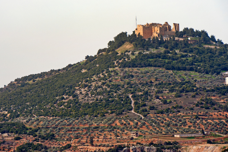 Aqaba: Jerash, Ajloun slott - Ajloun Teleferic en dagsutflykt