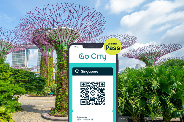 Singapore: Explorer Pass Risparmia fino al 50% su 2-7 attrazioni