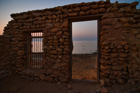 Doha: Tour particular pelo norte do Qatar, manguezais e Forte ZubaraDoha: Excursão particular ao norte do Qatar, manguezais e Forte Zubara