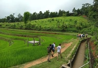 1 jour Private Eco-Trekking White Pakayyaw Village, Mae Sapok - Housity